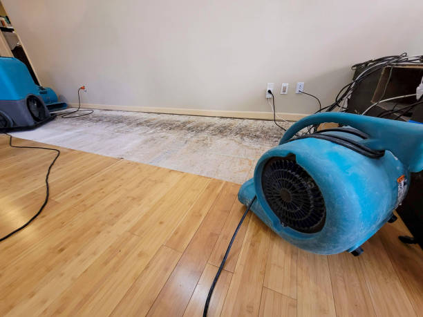 Professional Water Damage Repair technician working in Hope, ME
